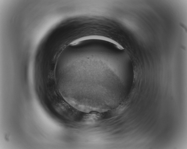 X0000102760239200809021014