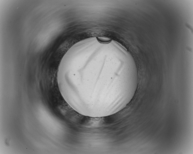 X0000102760240200809021014