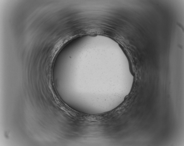 X0000102760241200809021013