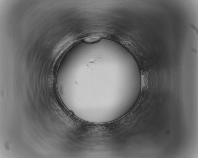 X0000102760243200809021013