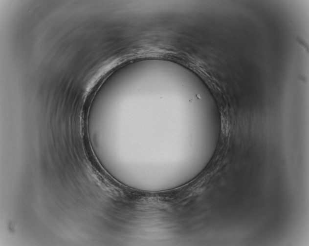 X0000102760244200809021013