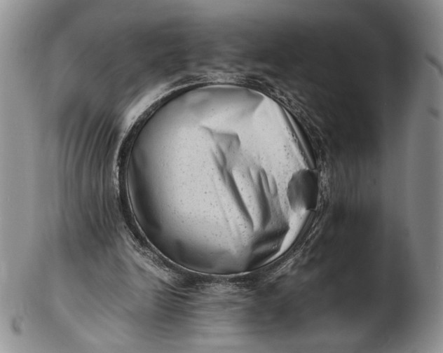 X0000102760246200809021013