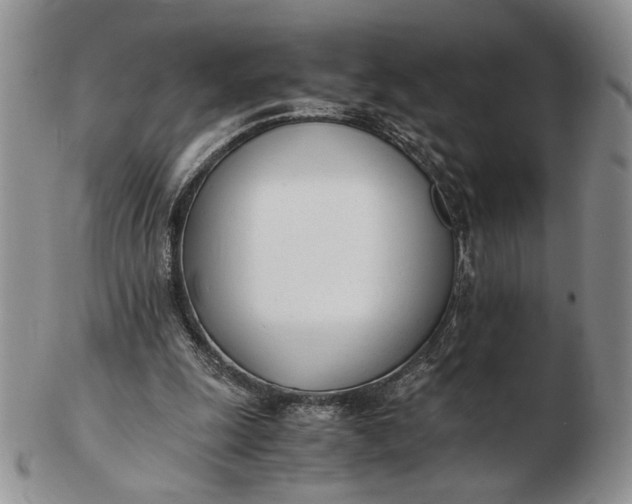 X0000102760247200809021013