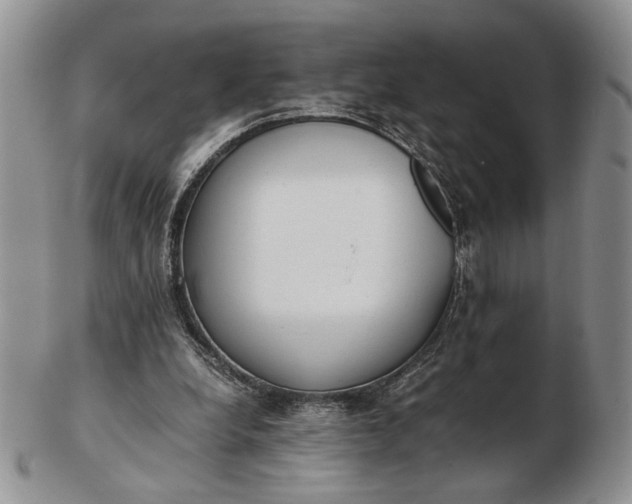 X0000102760248200809021013