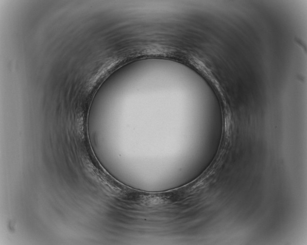 X0000102760249200809021013