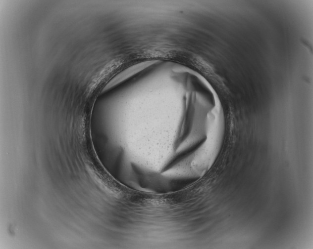 X0000102760250200809021013