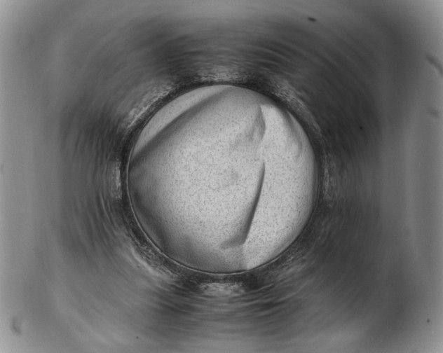 X0000102760251200809021013