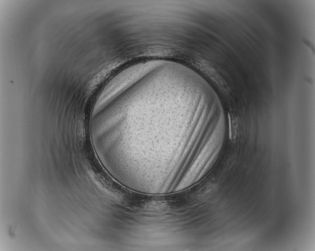 X0000102760252200809021013