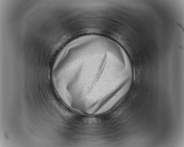 X0000102760253200809021013