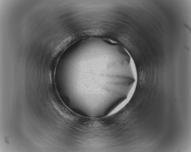 X0000102760254200809021013