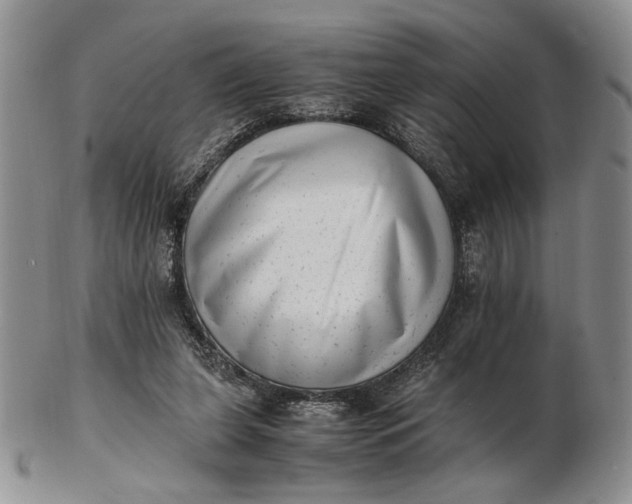 X0000102760255200809021013