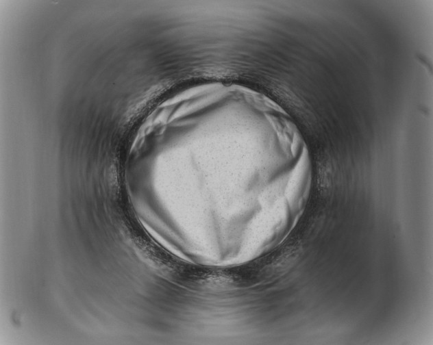 X0000102760256200809021013