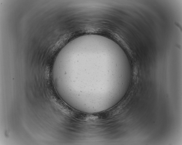 X0000102760257200809021013