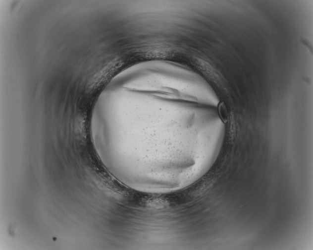 X0000102760258200809021013