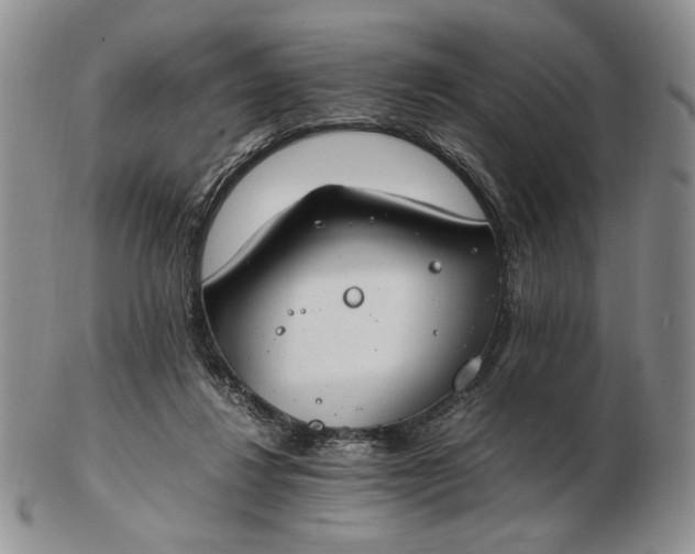 X0000102760260200809021013