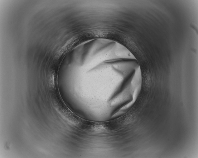 X0000102760262200809021013