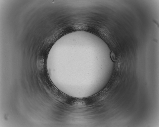 X0000102760263200809021013