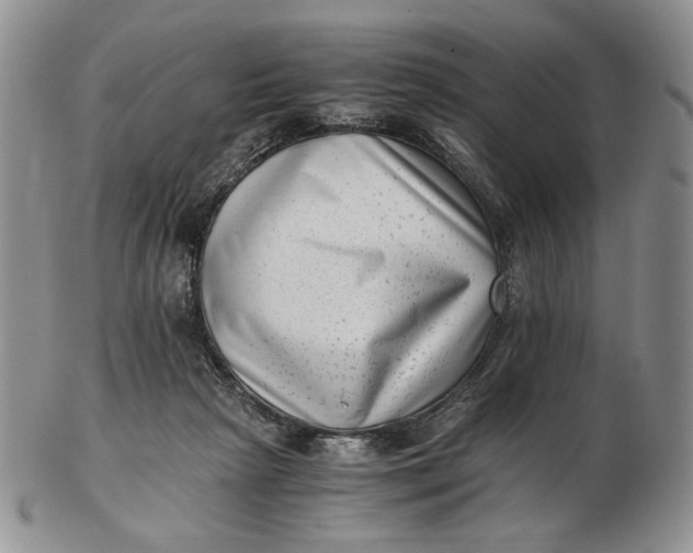 X0000102760265200809021013