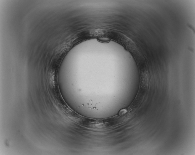 X0000102760267200809021013