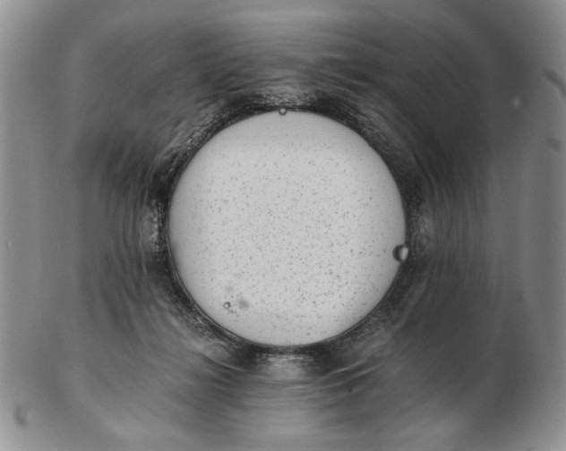 X0000102760268200809021013