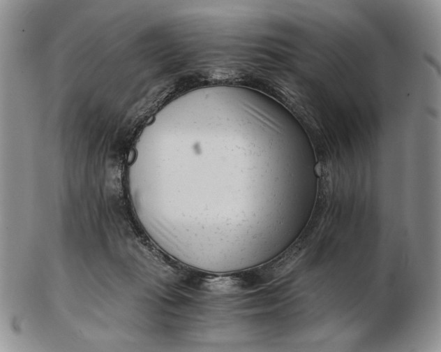 X0000102760269200809021013