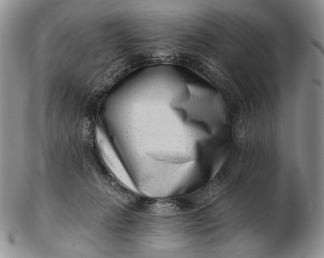 X0000102760270200809021013