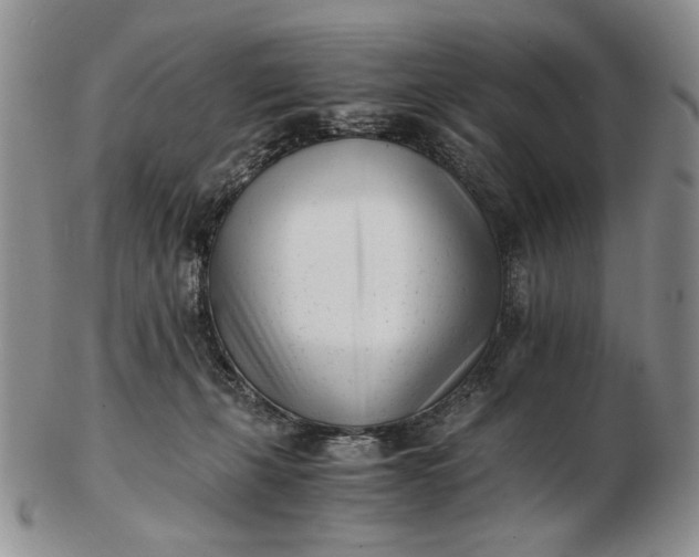 X0000102760271200809021013