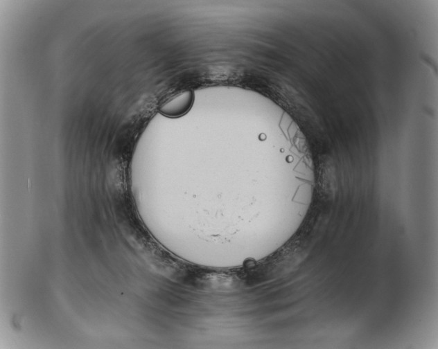 X0000102760272200809021013