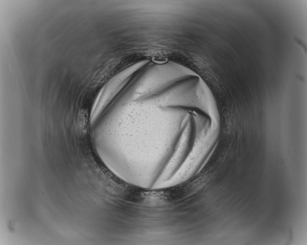 X0000102760273200809021013