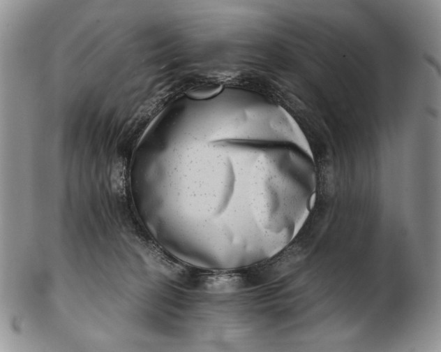 X0000102760274200809021014