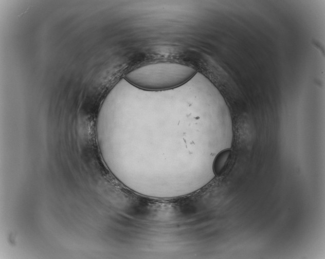 X0000102760276200809021014