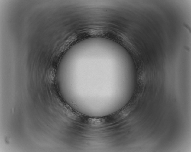 X0000102760277200809021014