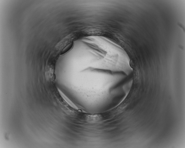 X0000102760281200809021014