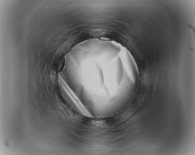 X0000102760283200809021014