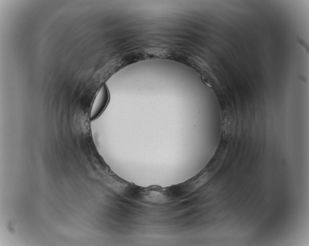 X0000102760285200809021014