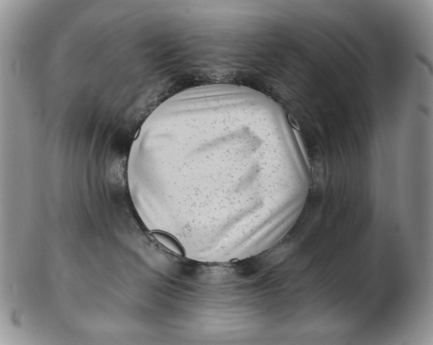 X0000102760286200809021014