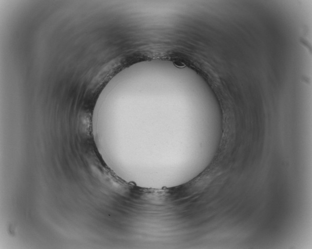 X0000102760288200809021014