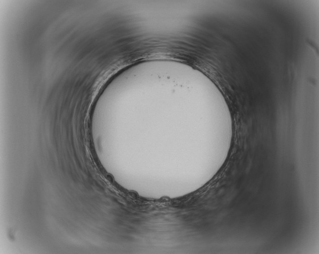 X0000102760289200809021013