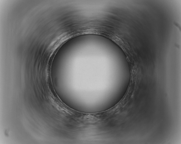 X0000102760290200809021013