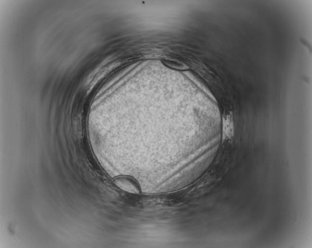 X0000102760291200809021013