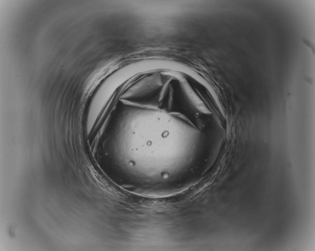 X0000102760293200809021013