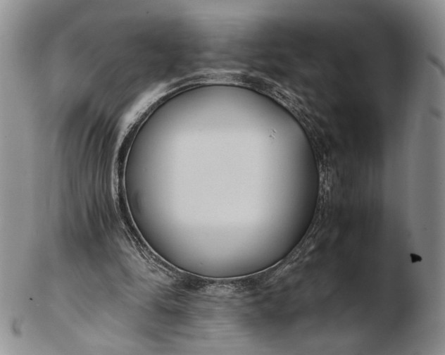 X0000102760294200809021013