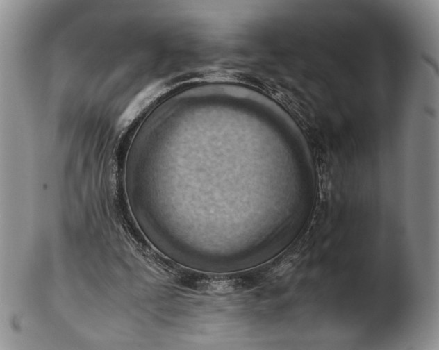 X0000102760295200809021013