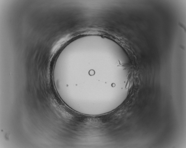 X0000102760296200809021013