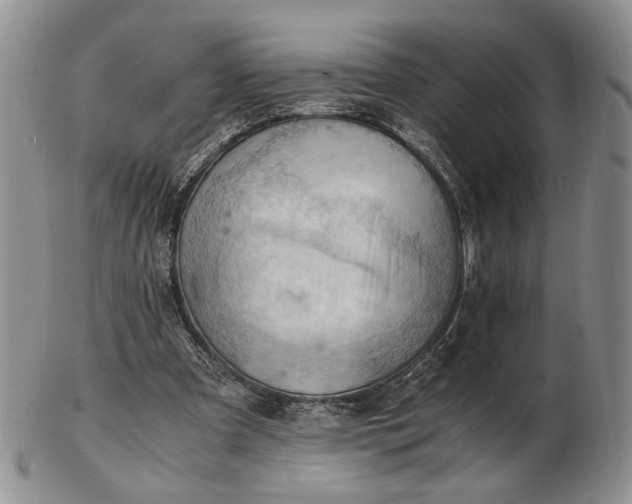 X0000102760297200809021013