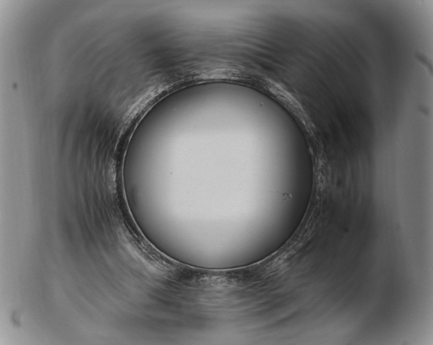 X0000102760298200809021013