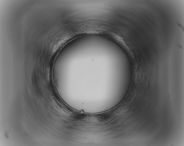 X0000102760299200809021013