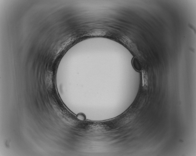 X0000102760300200809021013