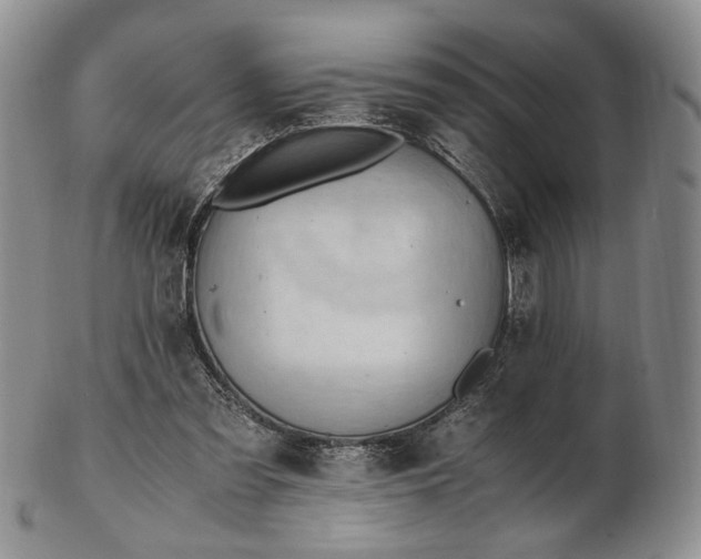 X0000102760301200809021013