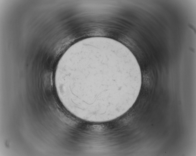 X0000102760302200809021013